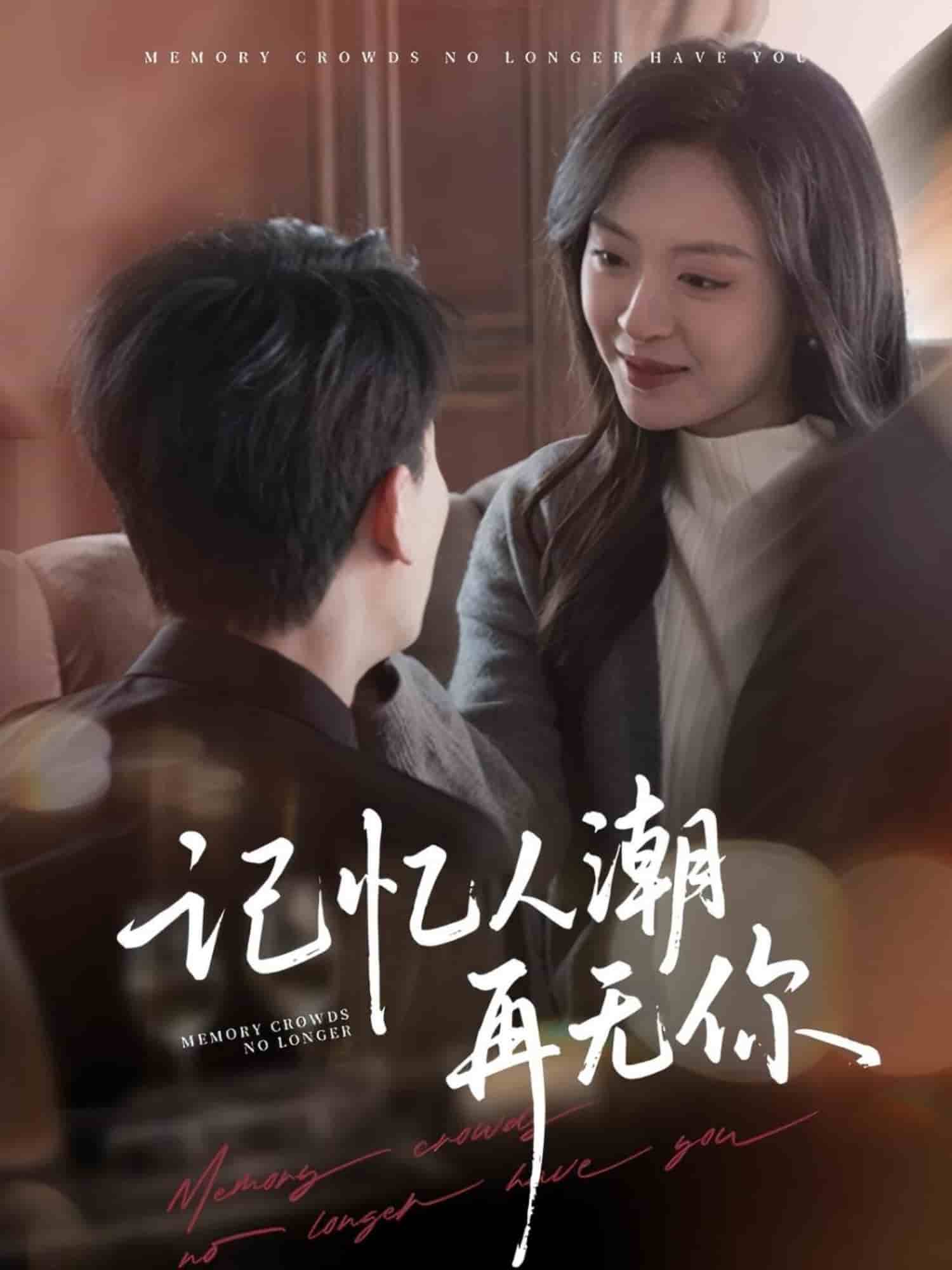 記憶人潮再無你